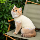Lightweight Nylon Vest for Small and Medium Dogs