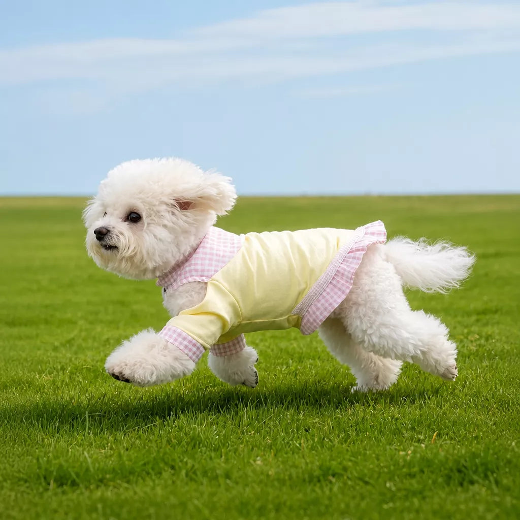 Lightweight Nylon Vest for Small and Medium Dogs