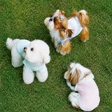 Lightweight Nylon Vest for Small and Medium Dogs