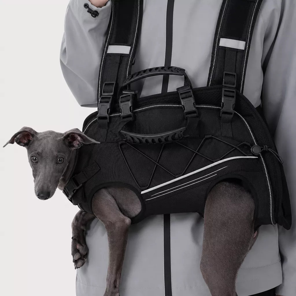 Pet Side-Carry Carrier for Dogs and Cats