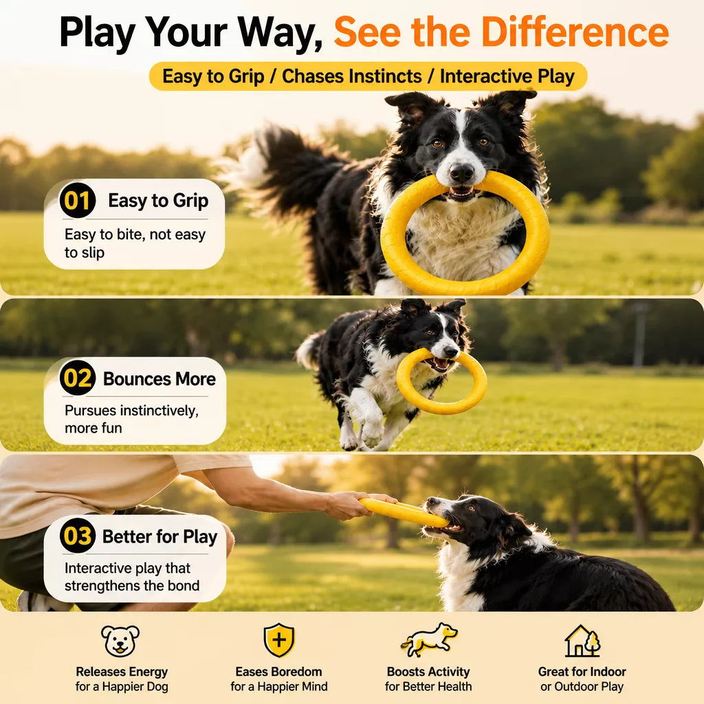 Silicone Dog Ring Toy for Fetch and Tug Play