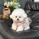 Pet Princess Dress with Leash Ring for Small Dogs and Cats