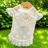 Lightweight Mesh Bow Pet Shirt with Leash Opening for Dogs & Cats
