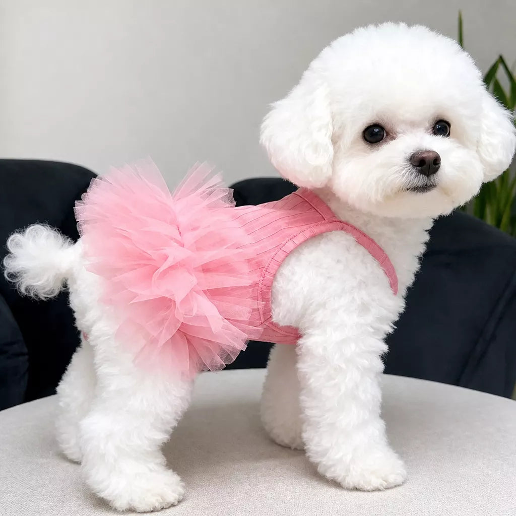 Pet Dress for Small Dogs and Cats