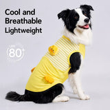 Lightweight Summer Outdoor Vest for Dogs