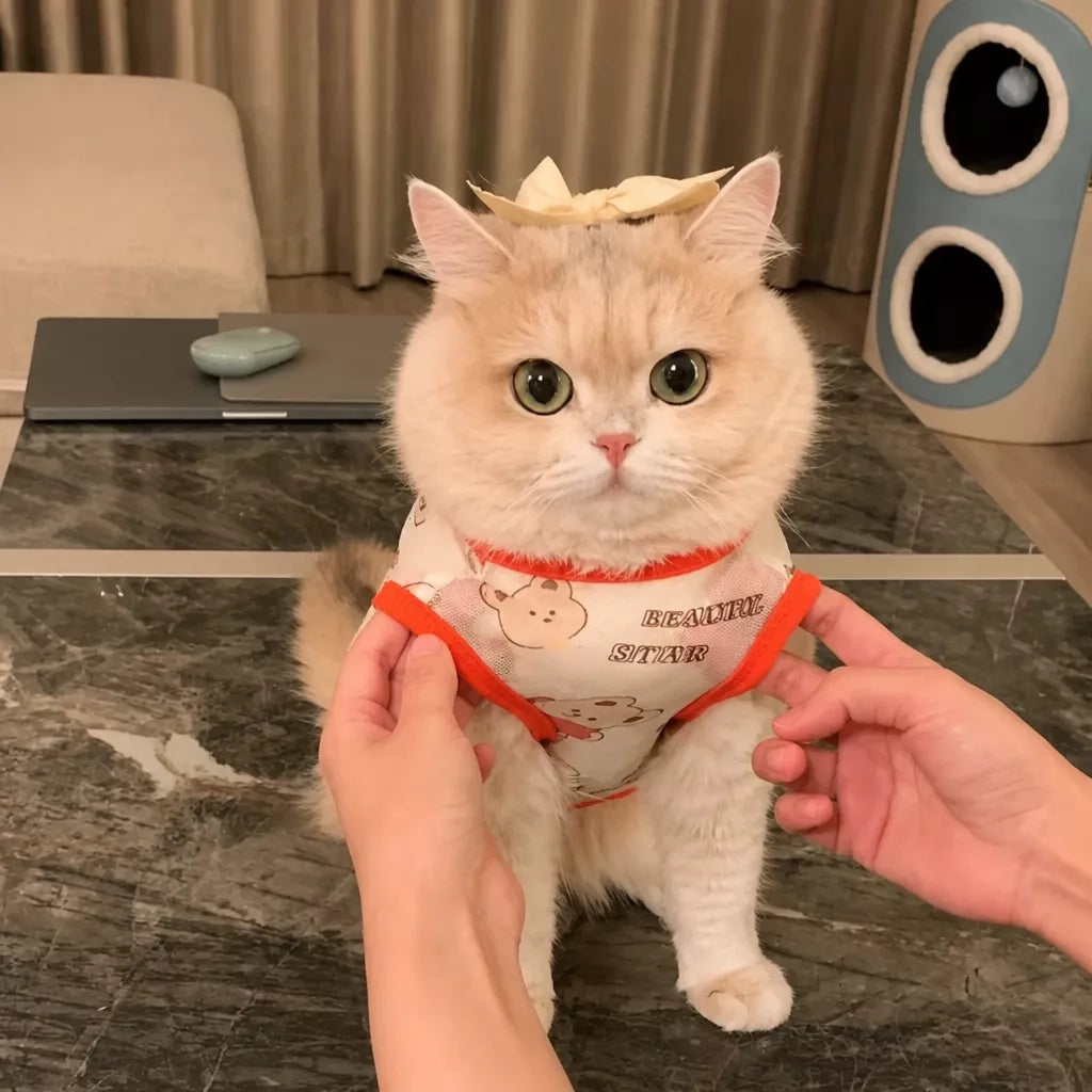 Lightweight Mesh Pet Vest for Cats and Small Dogs