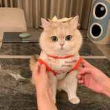 Lightweight Mesh Pet Vest for Cats and Small Dogs