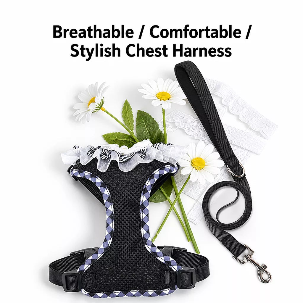 Dog Harness with 6.6-Ft Leash