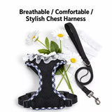 Dog Harness with 6.6-Ft Leash