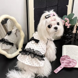 Polka Dot Flutter-Sleeve Pet Dress for Cats & Small Dogs