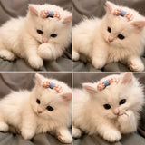 Bow Hair Clips for Cats and Small Dogs