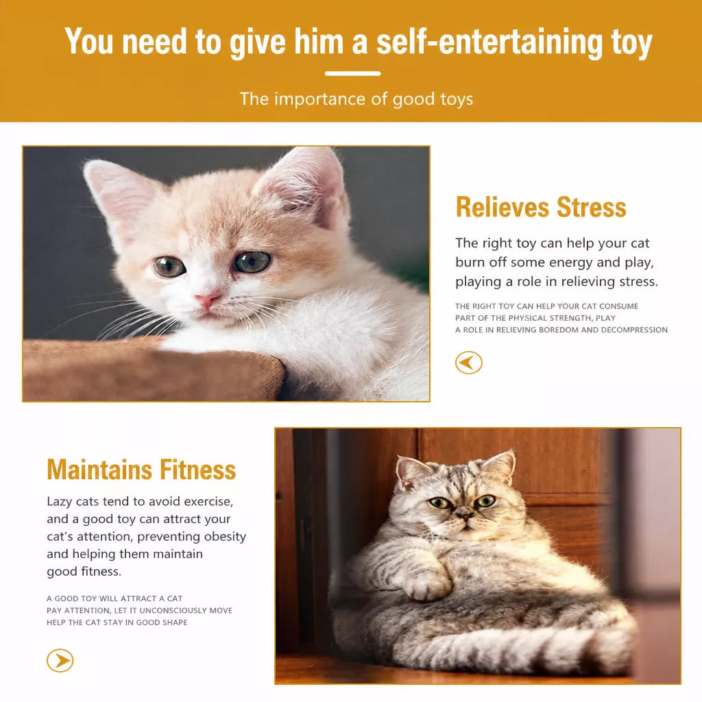 Plastic Spring Cat Toy