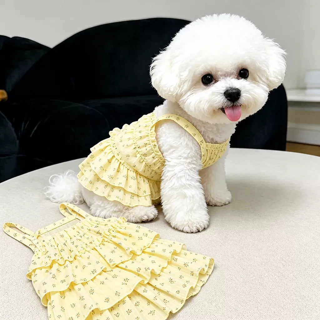 Cotton Pet Dress with Tiered Skirt