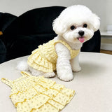 Cotton Pet Dress with Tiered Skirt