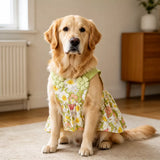 Summer Dog Dress with Shoulder Straps for Medium to Large Dogs