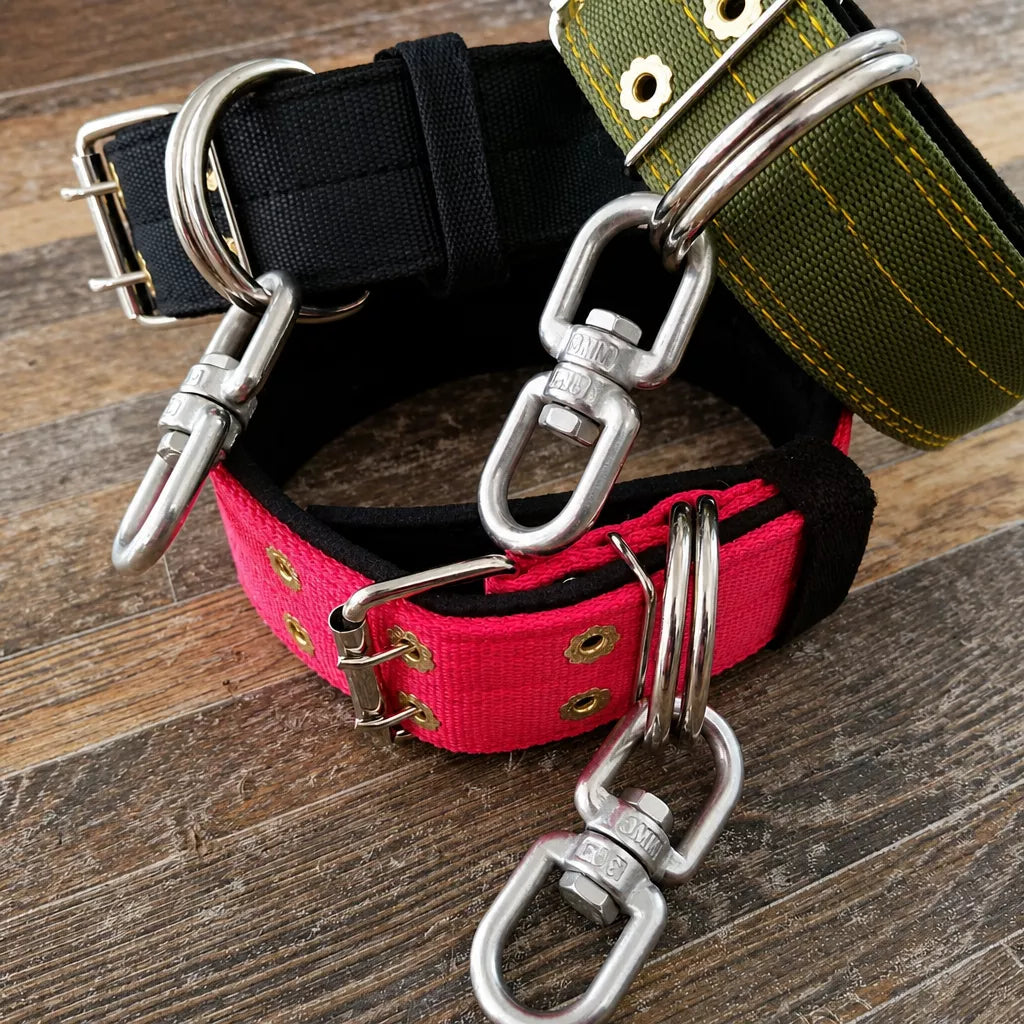 Heavy-Duty Nylon Dog Collar with Figure-8 Swivel Ring
