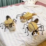 Cockroach-Inspired Cat Costume with Matching Collar