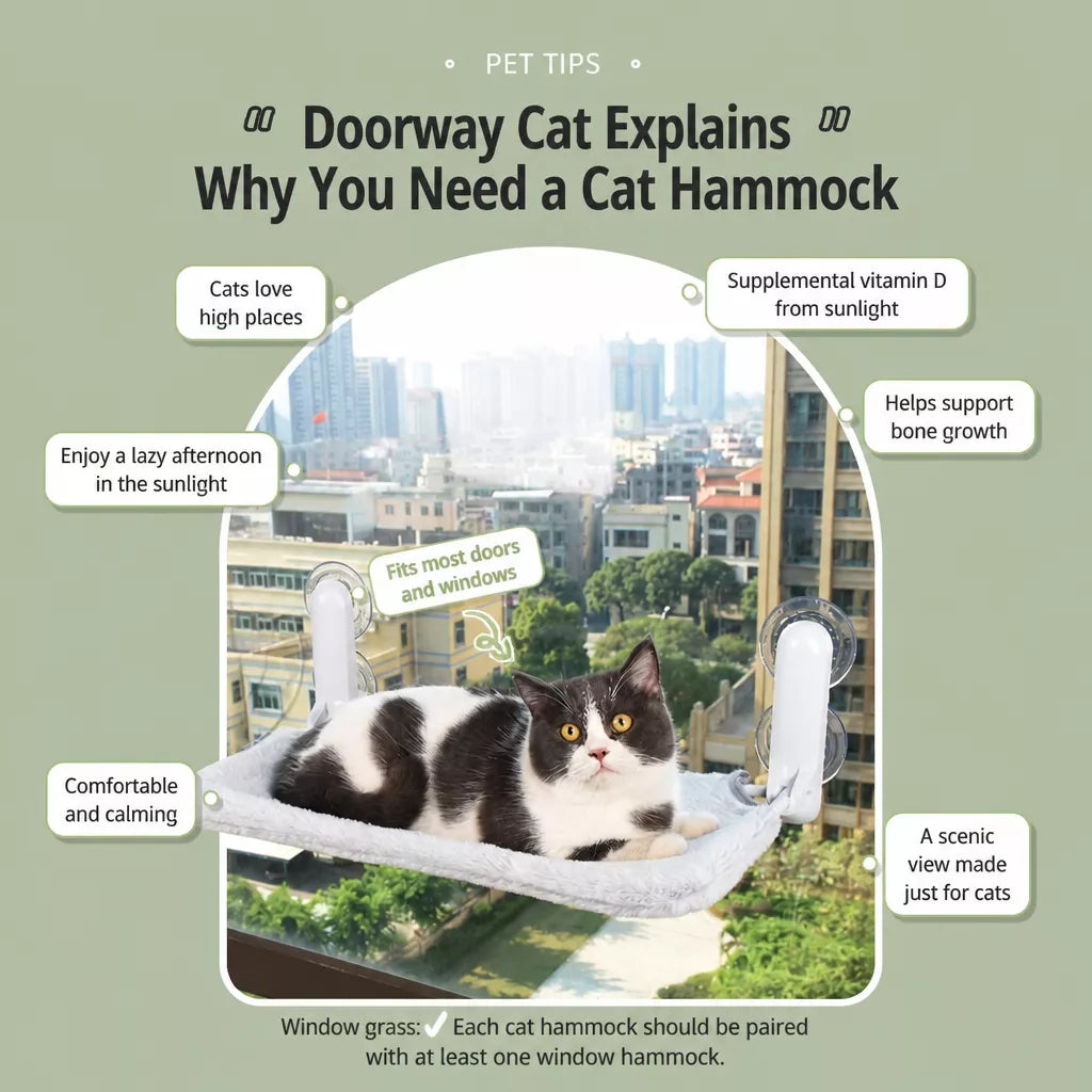 Cat Window Hammock with Suction Cup Mount