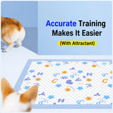 Absorbent Pet Training Pads with a Non-Woven Surface