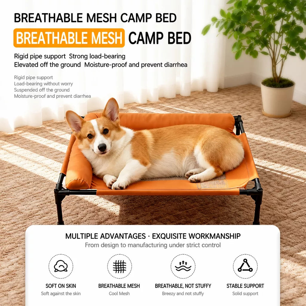 Raised Dog Cot Bed with Iron Frame