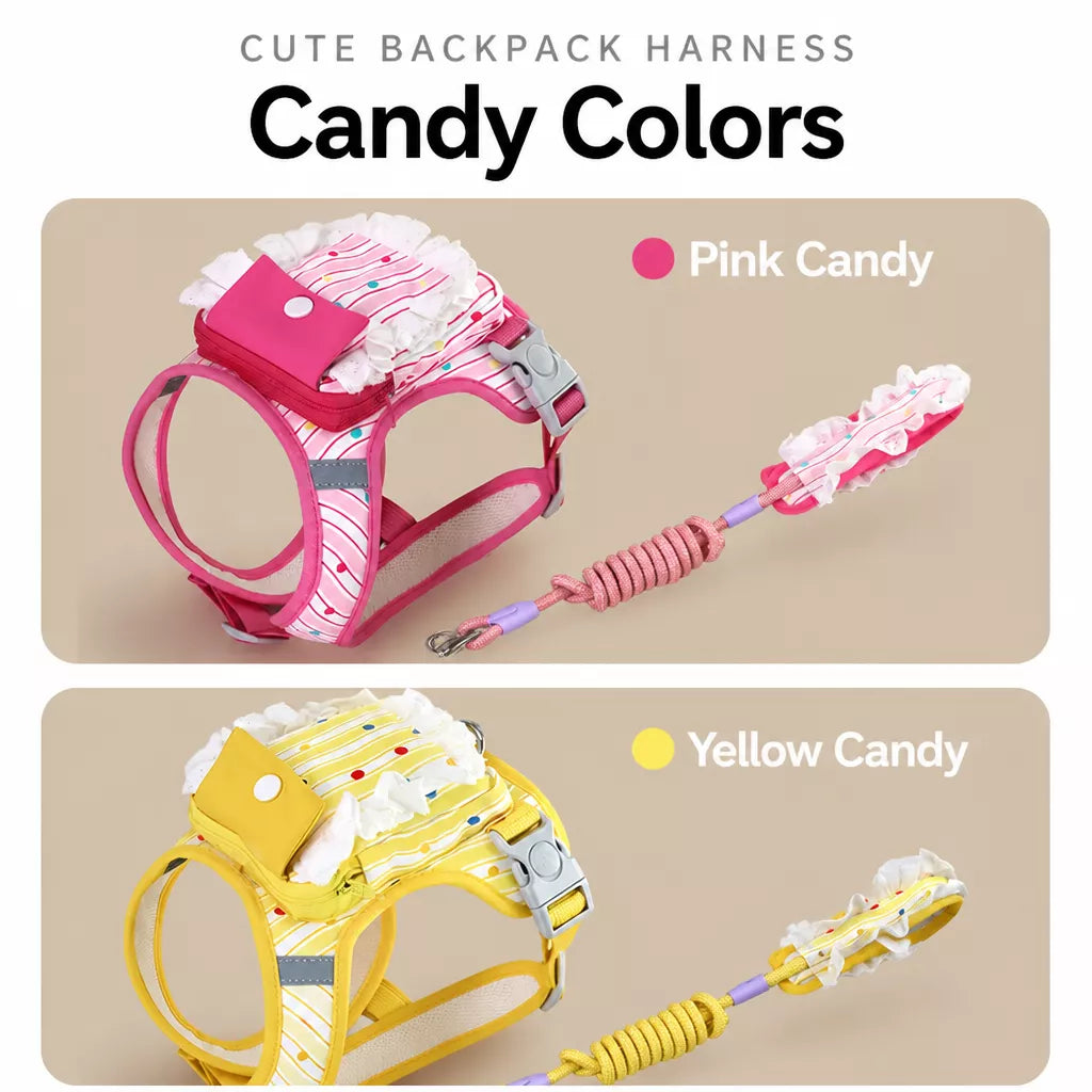 Vest-Style Harness and Leash Set for Small to Medium Dogs
