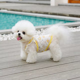 Lightweight Dog & Cat Vest