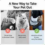 Mesh Pet Carrier Backpack for Small Dogs