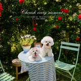 Plaid Color-Block Back-Closure Pet Shirt