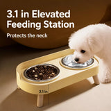 Stainless Steel Dog Bowl with Plastic Stand for Small Dogs
