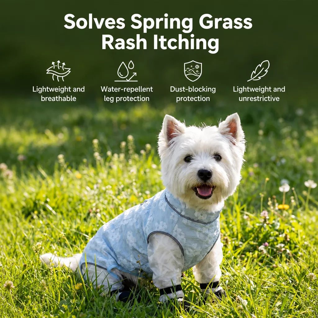 Lightweight Four-Leg Mesh Suit for Small Dogs