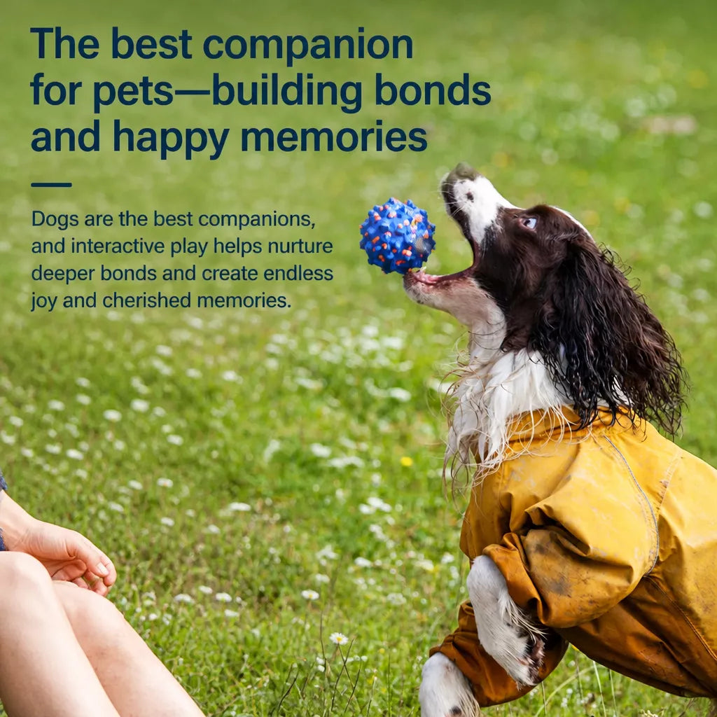 Sea Urchin Ball Dog Toy