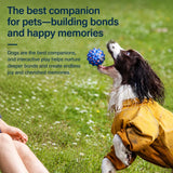 Sea Urchin Ball Dog Toy
