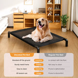 Raised Mesh Dog Cot with Iron Frame for Small to Large Dogs