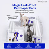 Absorbent Dog Training Pads for Indoor Potty Training