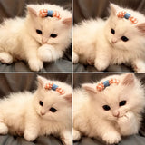 Pet Bow Hair Clips for Dogs and Cats