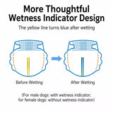 Disposable Dog Diapers for Male and Female Dogs