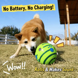 Interactive Squeaky Ball Dog Toy