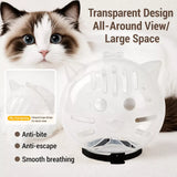 Plastic Recovery Cone for Cats During Grooming and Care