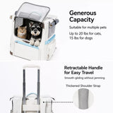 Concealed-Design Pet Carrier Backpack