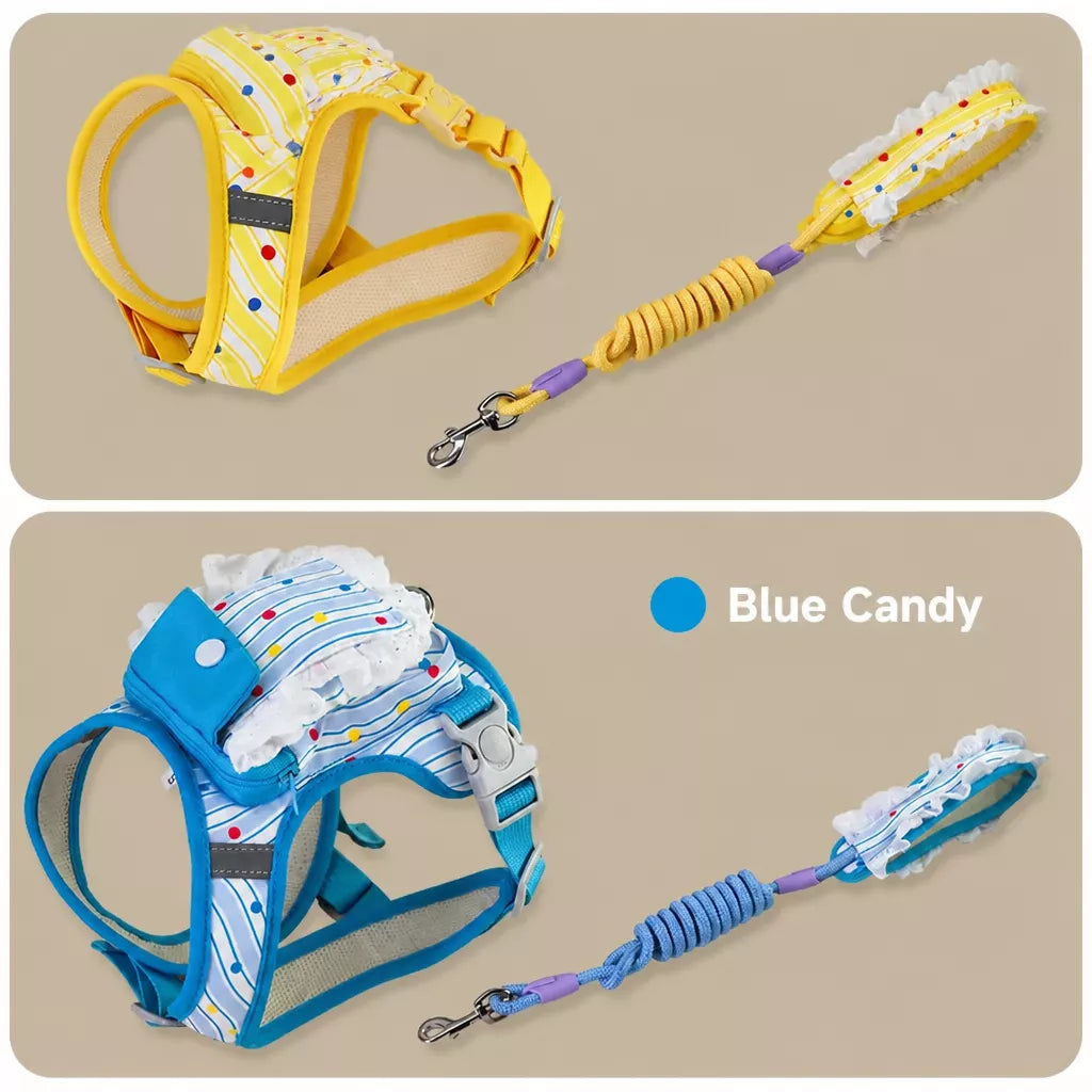 Vest-Style Harness and Leash Set for Small to Medium Dogs