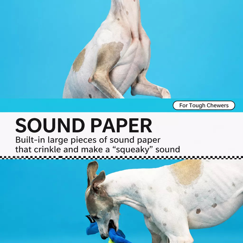 Snail Snuffle Squeaky Dog Toy