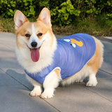 Lightweight Nylon Dog Vest for Everyday Wear