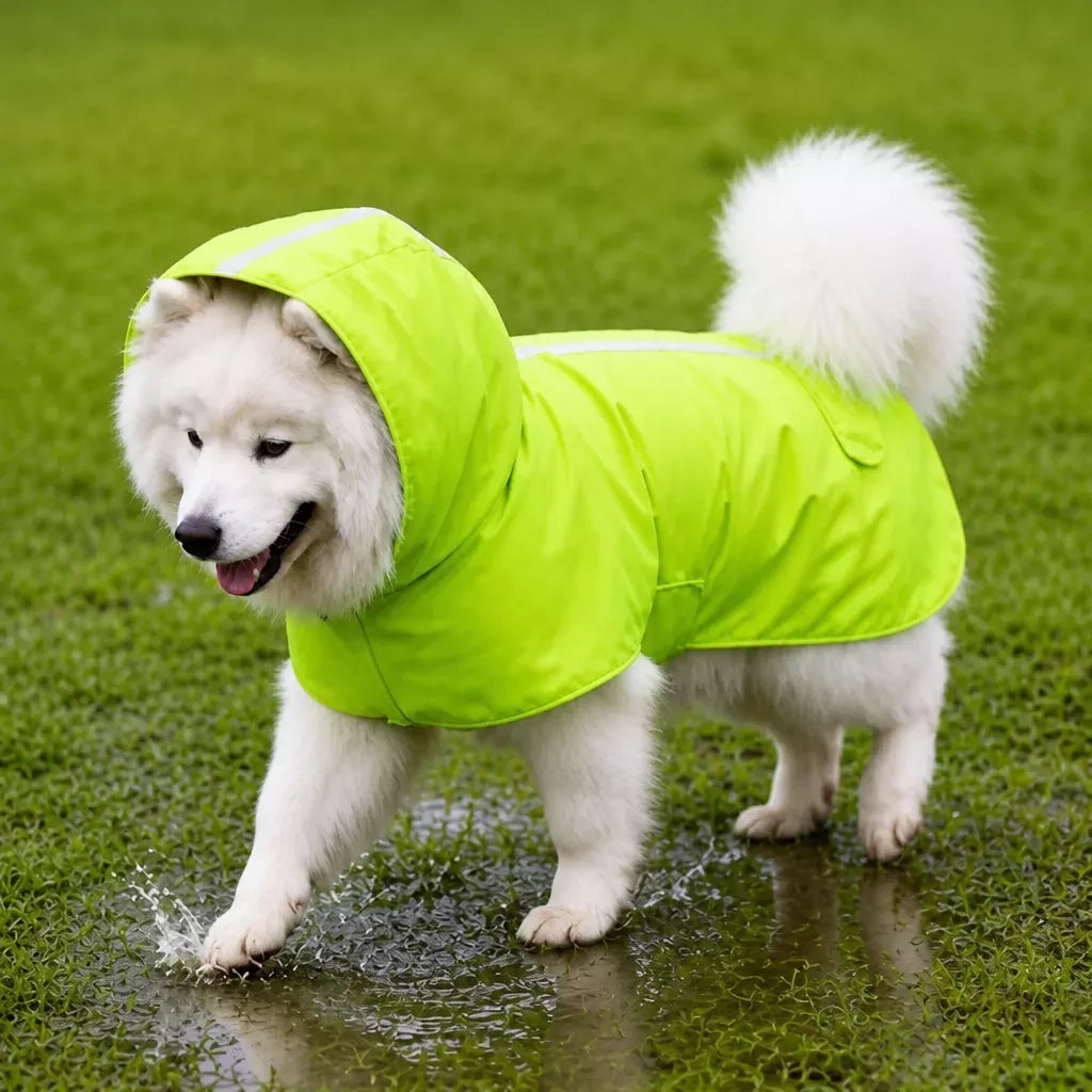Dog Raincoat for Rainy-Day Walks