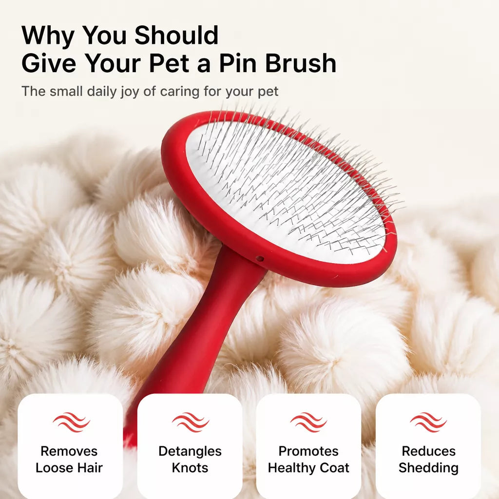 Cushioned Soft-Pin Slicker Brush for Dogs and Cats