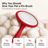 Cushioned Soft-Pin Slicker Brush for Dogs and Cats