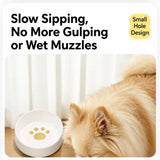 Floating Water Bowl for Cats and Dogs