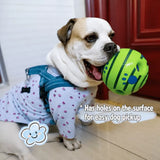 Interactive Squeaky Ball Dog Toy