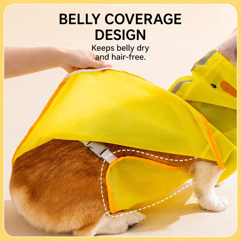 Waterproof Dog Raincoat for Small and Medium Breeds