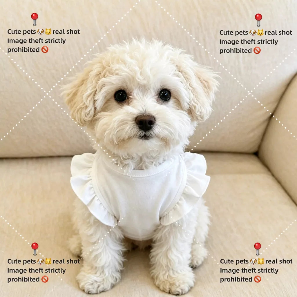 Bow Tie Flutter-Sleeve Pet Vest