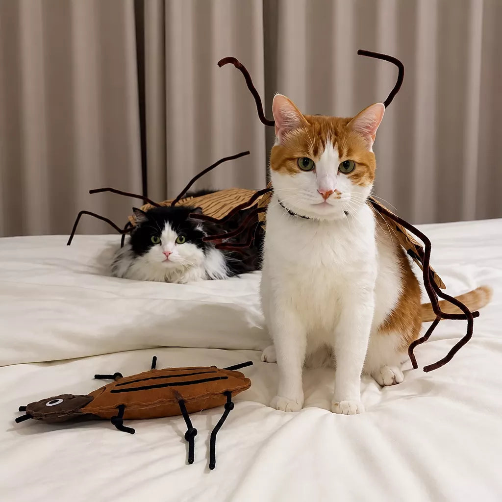 Cockroach-Inspired Cat Costume with Matching Collar